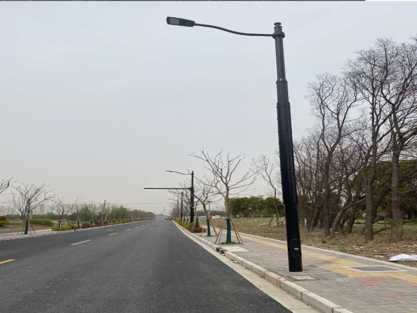 柯城区上海综合杆 太阳能路灯工程